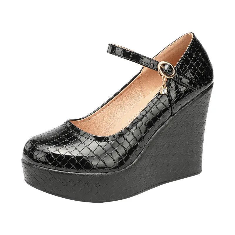 10cm Small Size 32-43 Patent L - Patent Leather Pump review and price